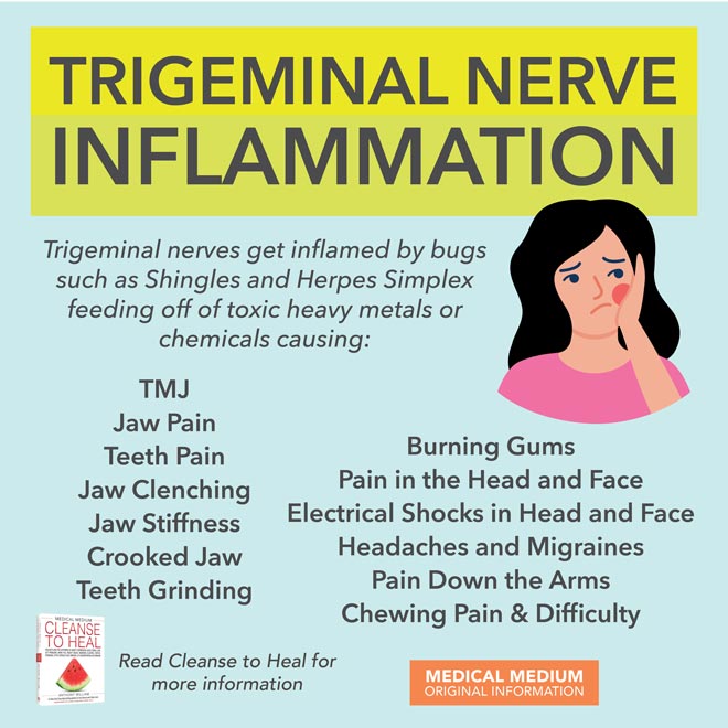 Trigeminal Nerve Inflammation
