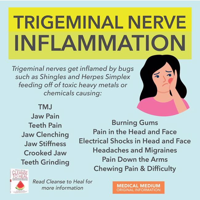 Trigeminal Nerve Inflammation
