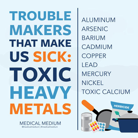 Troublemakers That Make Us Sick: Toxic Heavy Metals