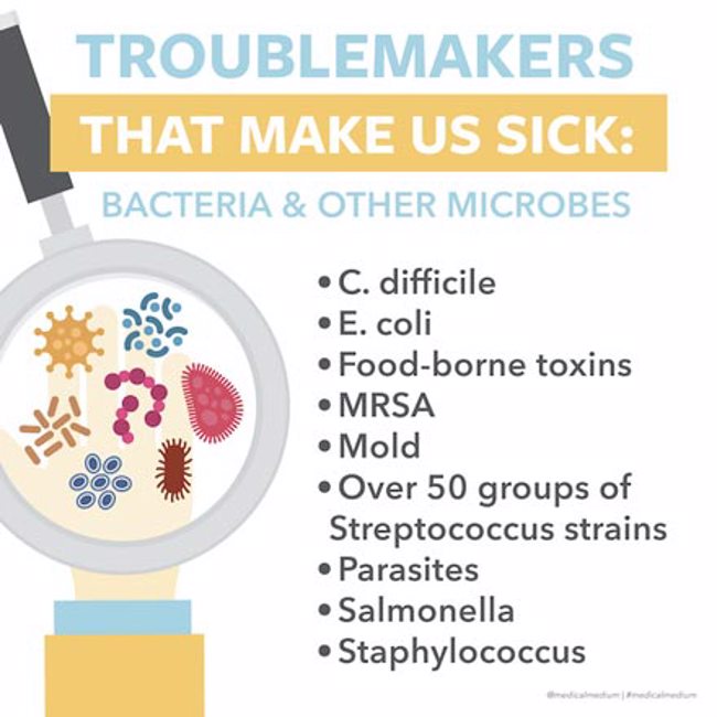 Troublemakers That Make Us Sick - Bacteria & Other Microbes