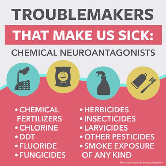Troublemakers That Make Us Sick - Chemical Neuroantagonists 