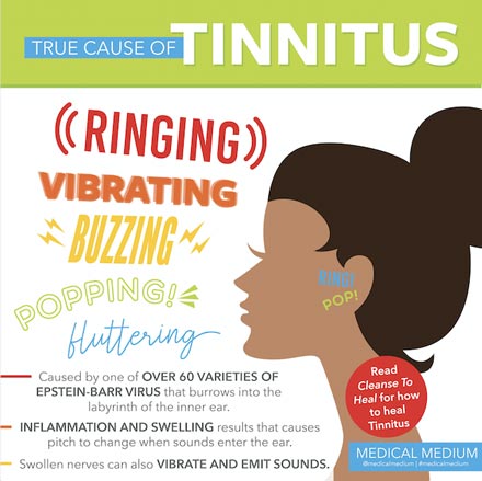 True Cause of Tinnitus 