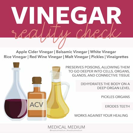 Vinegar Reality Check