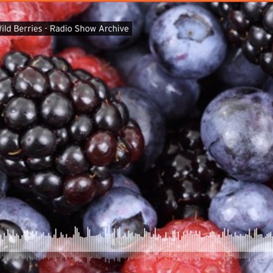 Healing Power of Wild Berries 