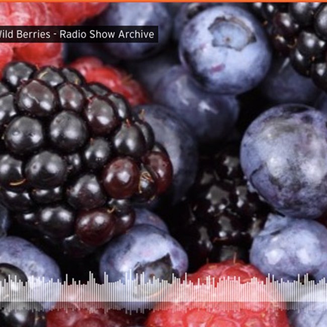 Healing Power of Wild Berries