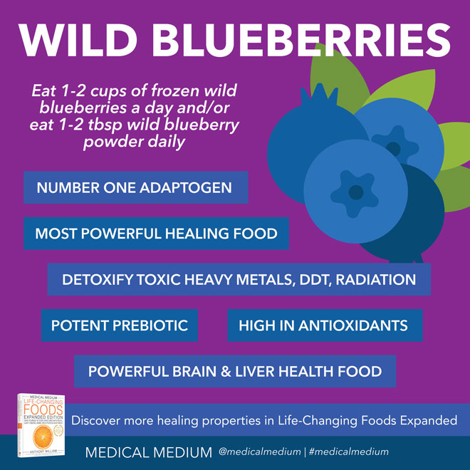 Wild Blueberries: Resurrection Food