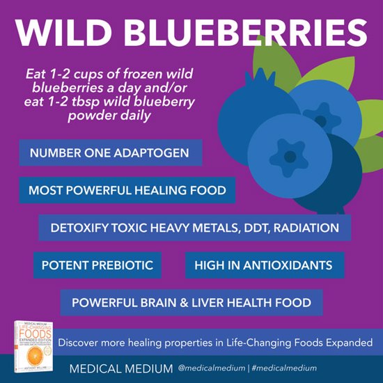 Wild Blueberries: Resurrection Food