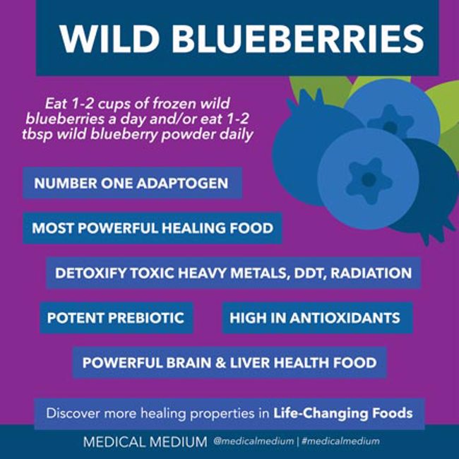 Wild Blueberries: Resurrection Food
