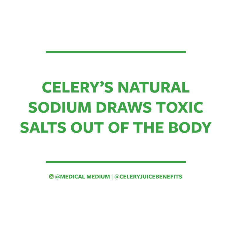 Celery’s natural sodium draws toxic salts out of the body