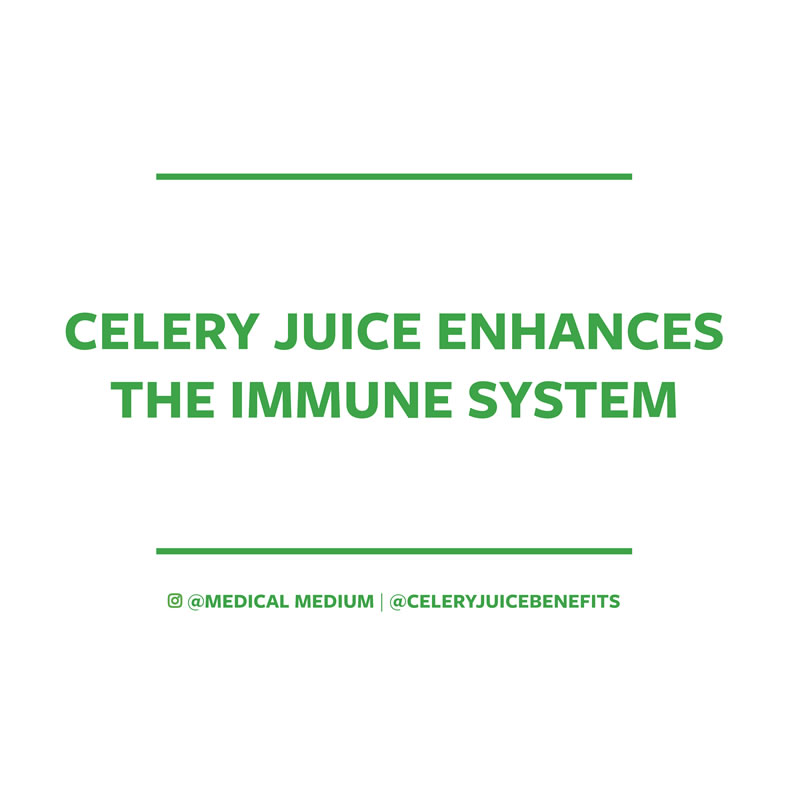 Celery juice enhances the immune system