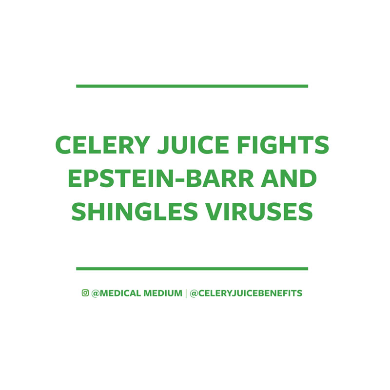 Celery juice fights Epstein-Barr and Shingles viruses