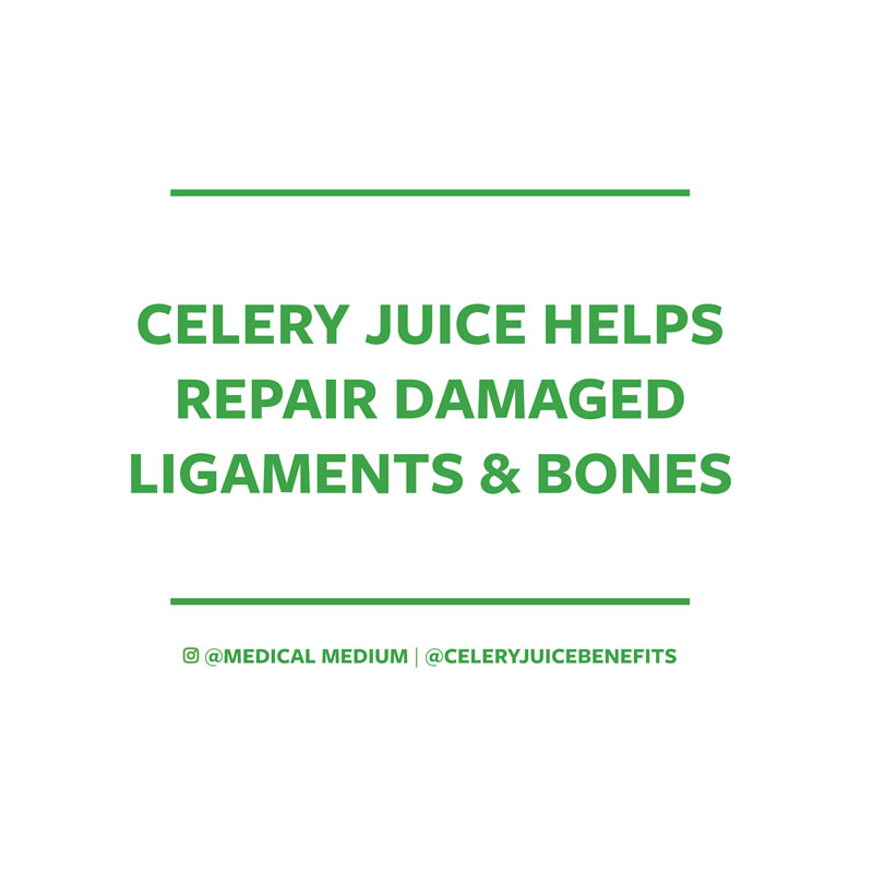 Celery juice helps repair damaged ligaments & bones