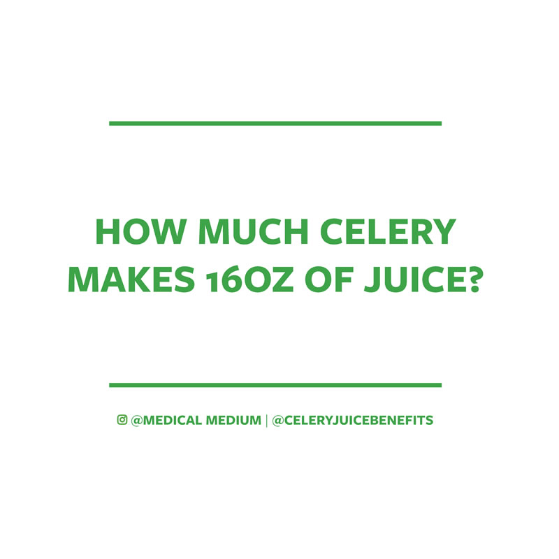 How much celery makes 16oz of juice?