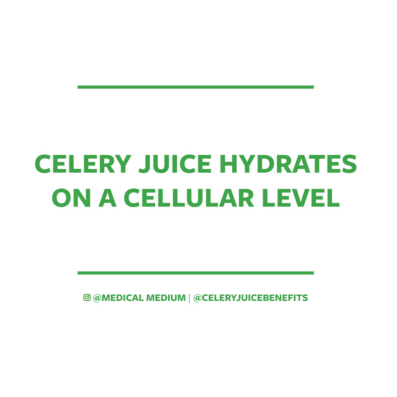 Celery juice hydrates on a cellular level