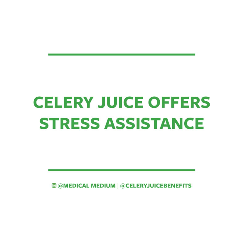 Celery juice offers stress assistance
