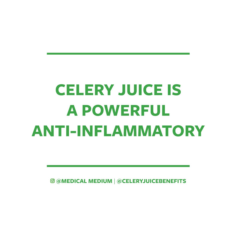Celery juice is a powerful anti-inflammatory food