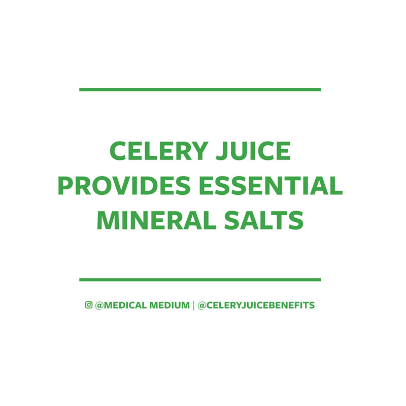 Celery juice provides essential mineral salts