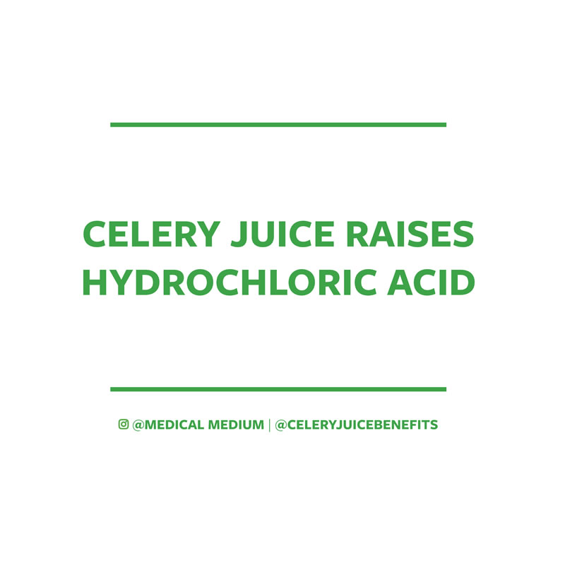 Celery juice raises hydrochloric acid 