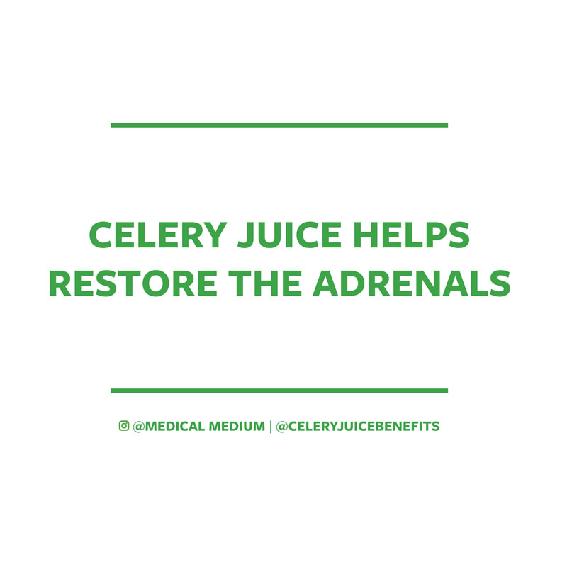 Celery juice helps restore the adrenals