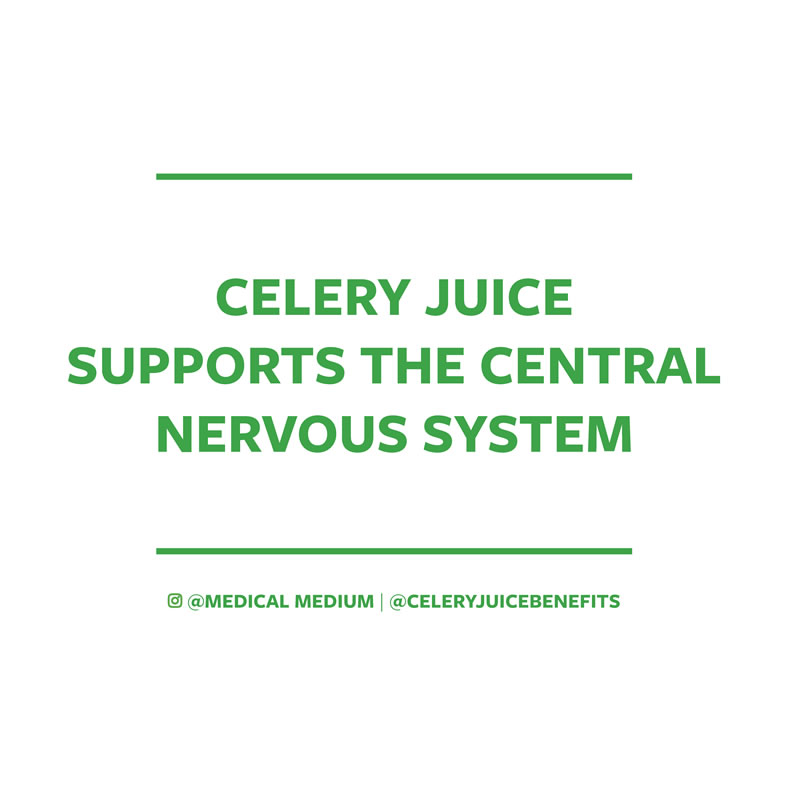 Celery juice supports the central nervous system