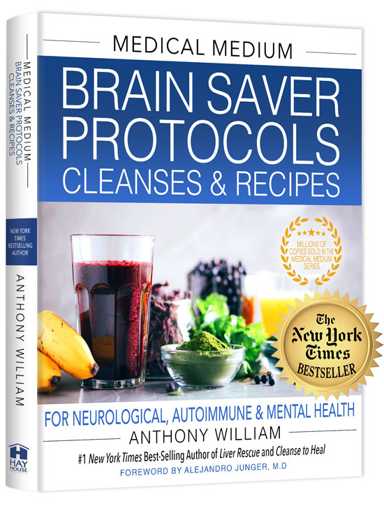 When was Brain Saver Protocols first published?