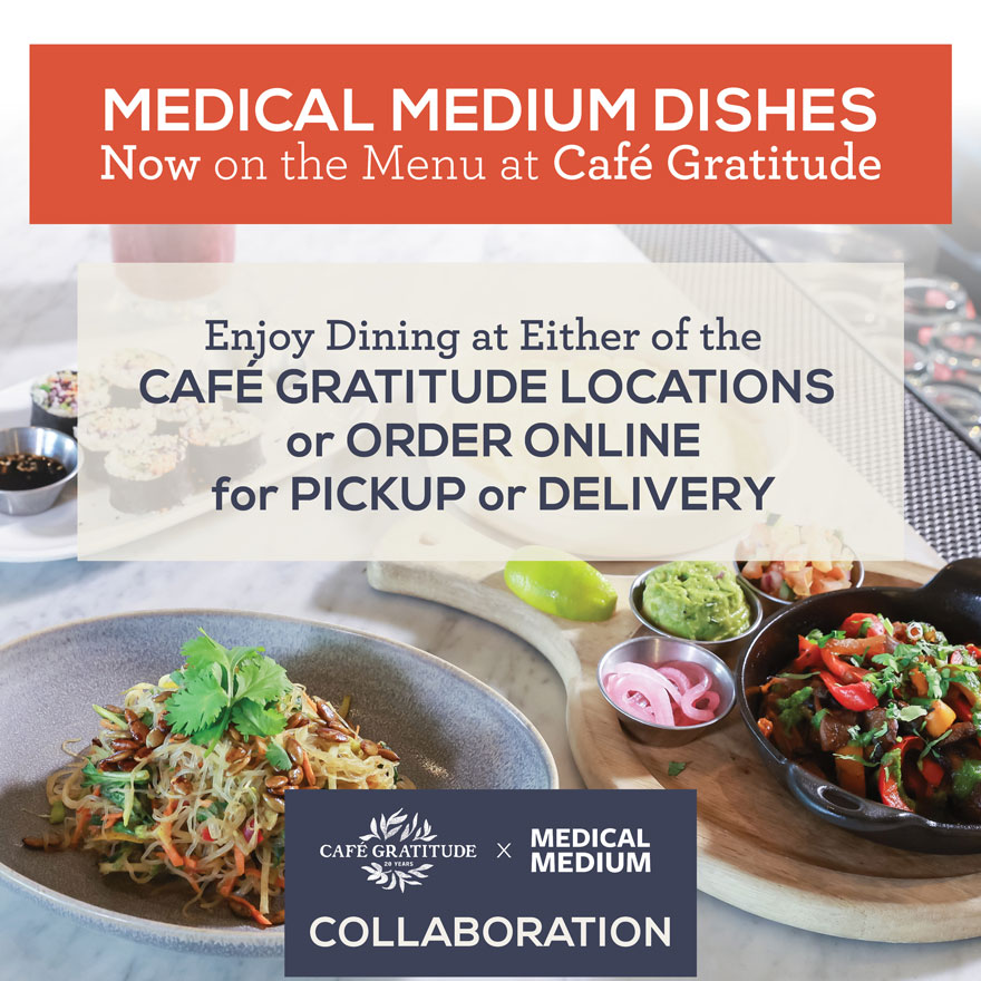 Understanding Gut Health