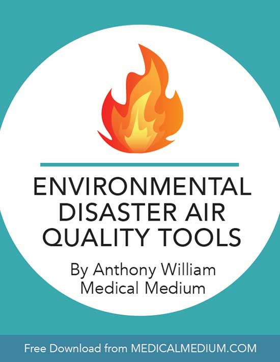 Environmental Disaster Air Quality Tools 