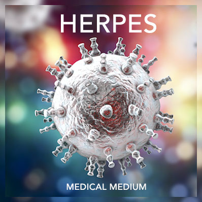 Herpes Viruses
