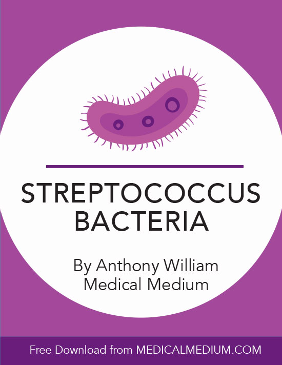 Streptococcus