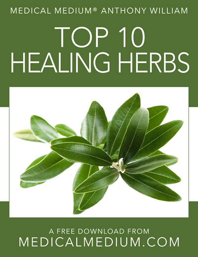 Top 10 Healing Herbs