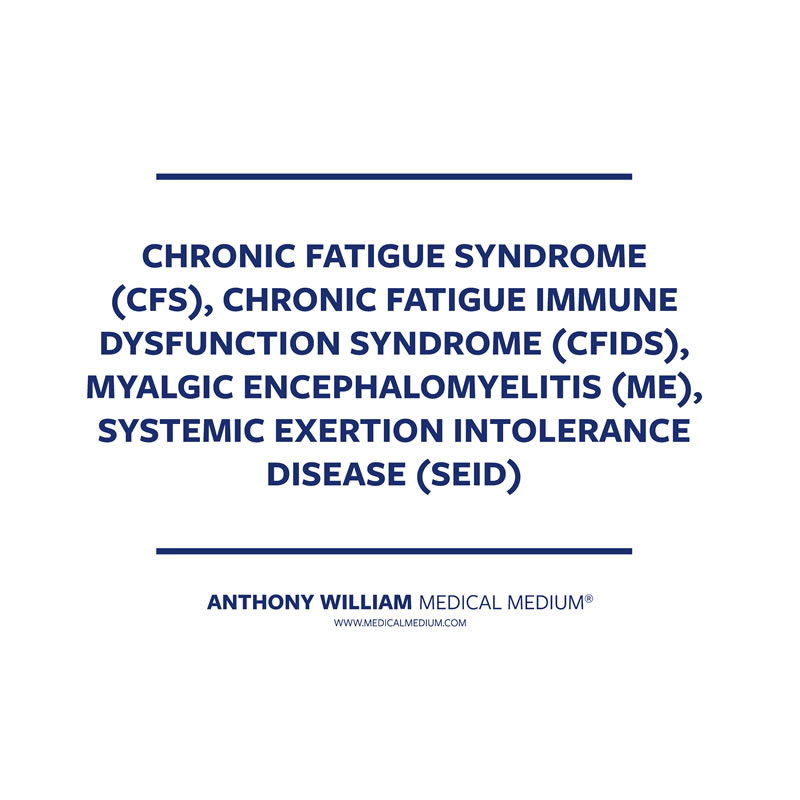 Chronic Fatigue Syndrome (CFS), Chronic Fatigue Immune Dysfunction Syndrome (CFIDS), Myalgic Encephalomyelitis (ME), Systemic Exertion Intolerance Disease (SEID